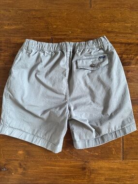 chubbies Men's Small Shorts - Light Gray